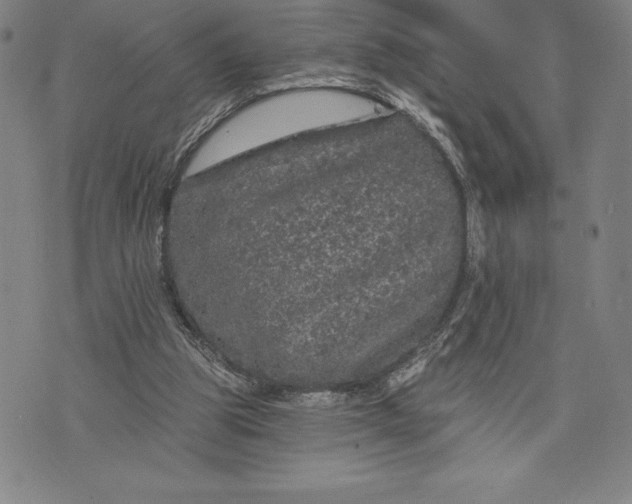 X0000076300153200610161602