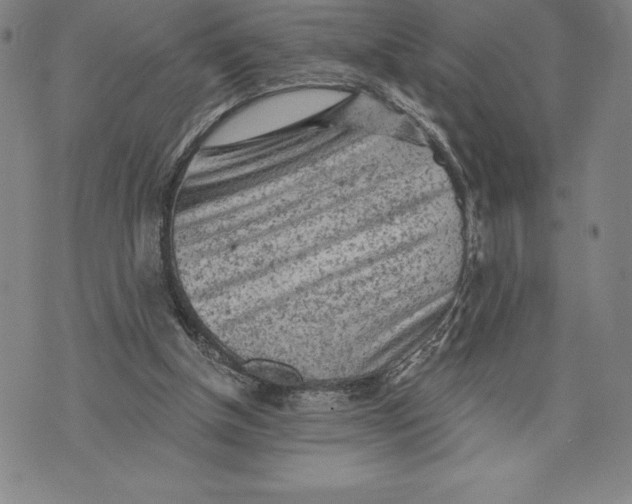 X0000076300154200610161602