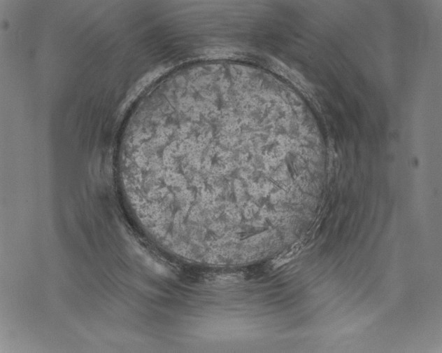 X0000076300155200610161602