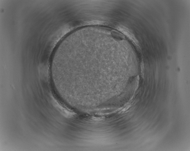 X0000076300156200610161602