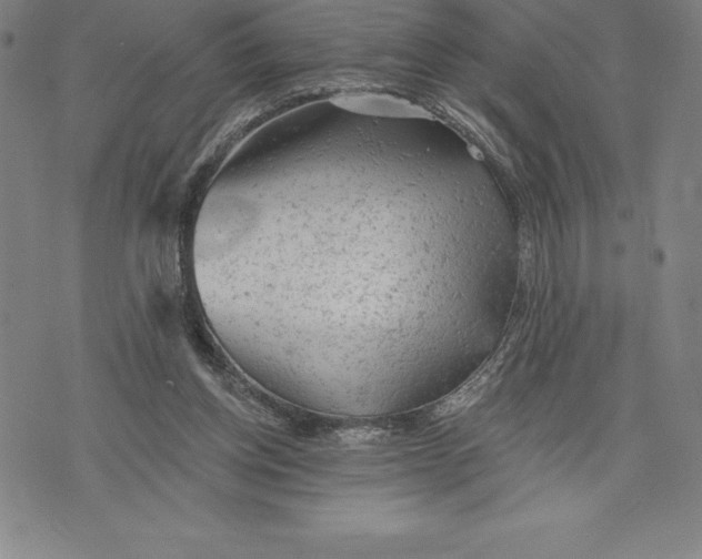 X0000076300158200610161602