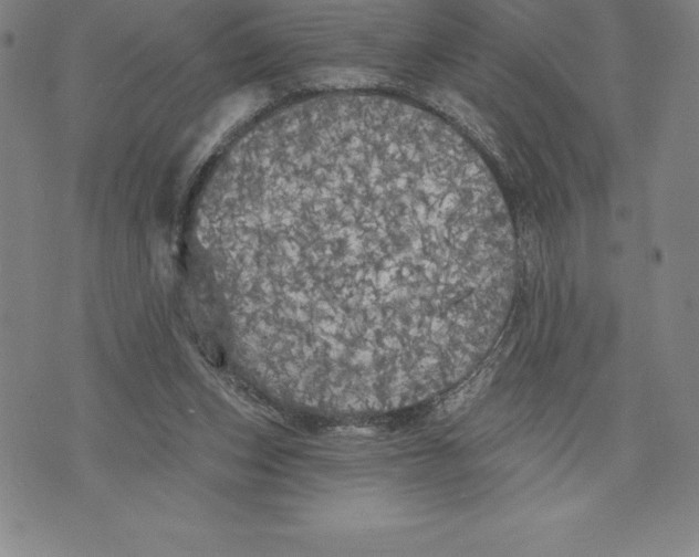 X0000076300159200610161602