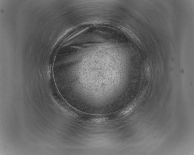 X0000076300160200610161602