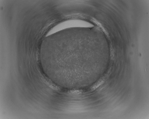 X0000076300161200610161602