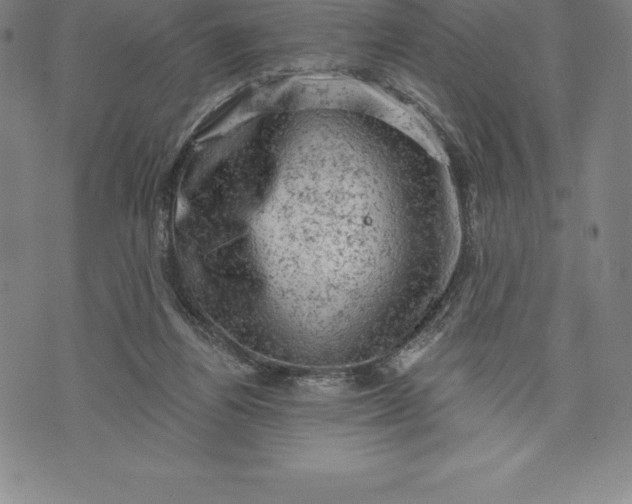 X0000076300164200610161602