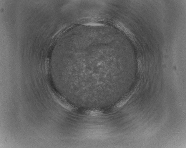 X0000076300165200610161602