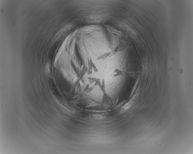 X0000076300166200610161602