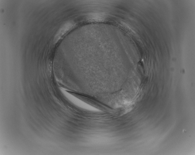 X0000076300168200610161602