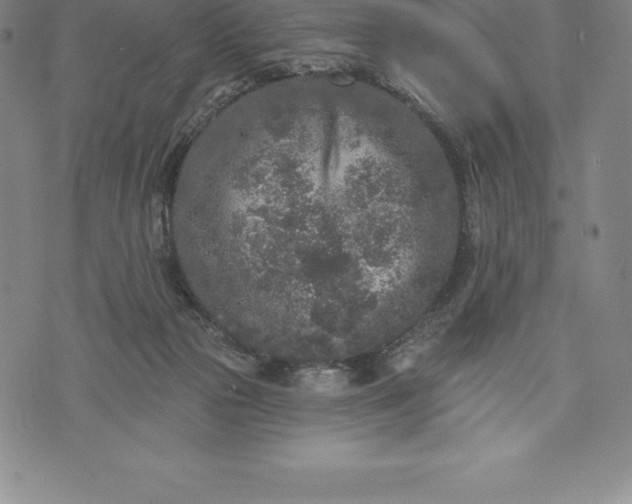 X0000076300169200610161602