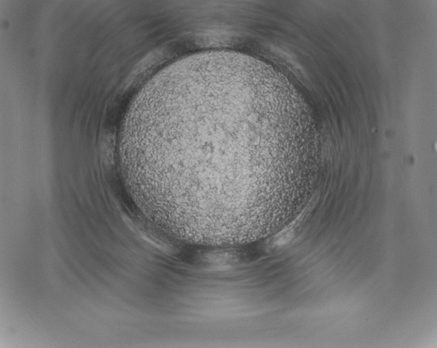 X0000076300171200610161602