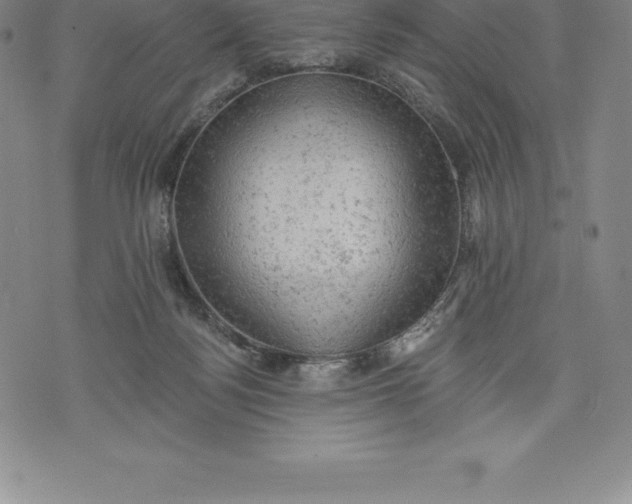 X0000076300172200610161602