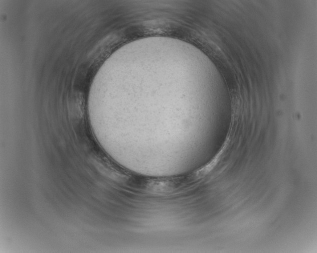 X0000076300174200610161602