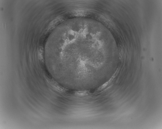 X0000076300175200610161602