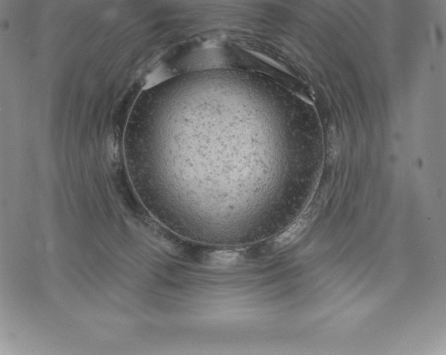 X0000076300176200610161602