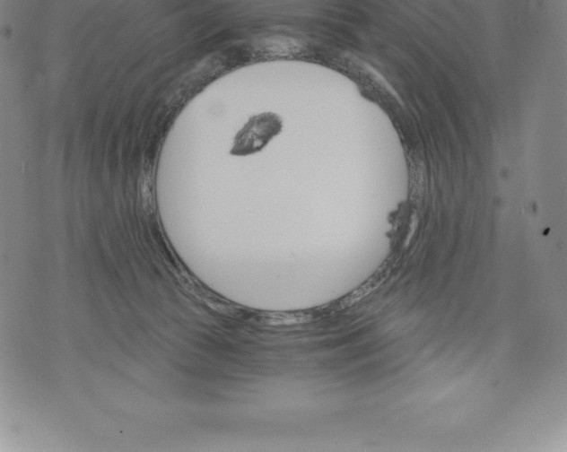 X0000076300177200610161603