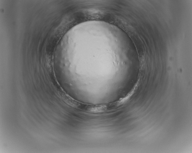 X0000076300178200610161603