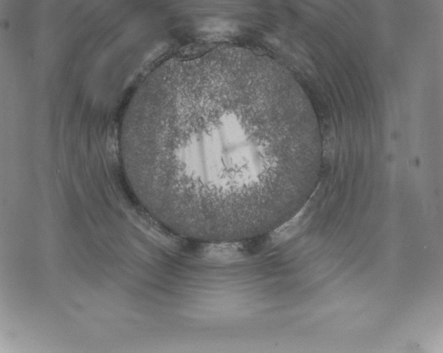 X0000076300179200610161603