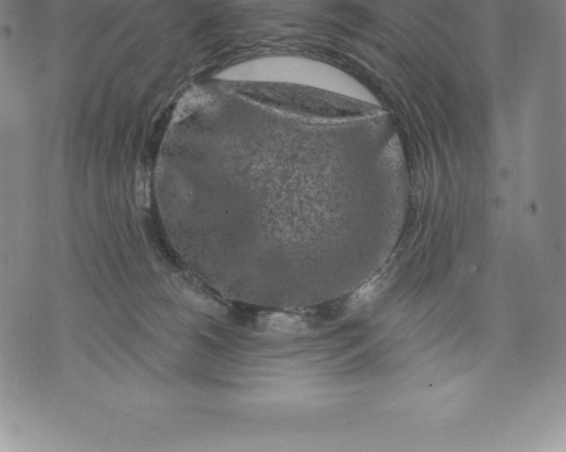 X0000076300180200610161603