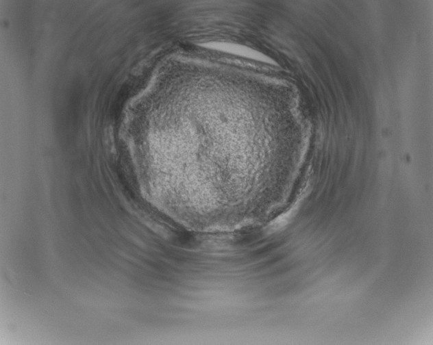 X0000076300182200610161603