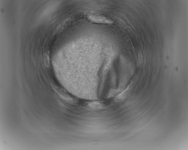 X0000076300183200610161603