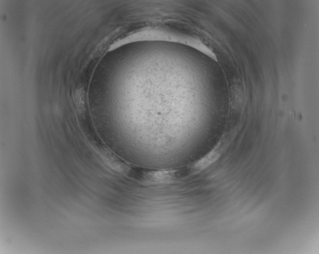 X0000076300184200610161603