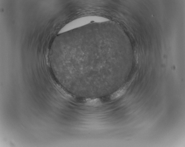 X0000076300185200610161603