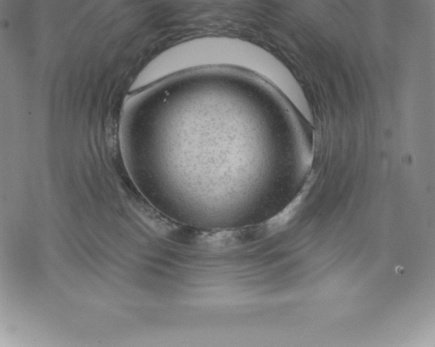 X0000076300186200610161603