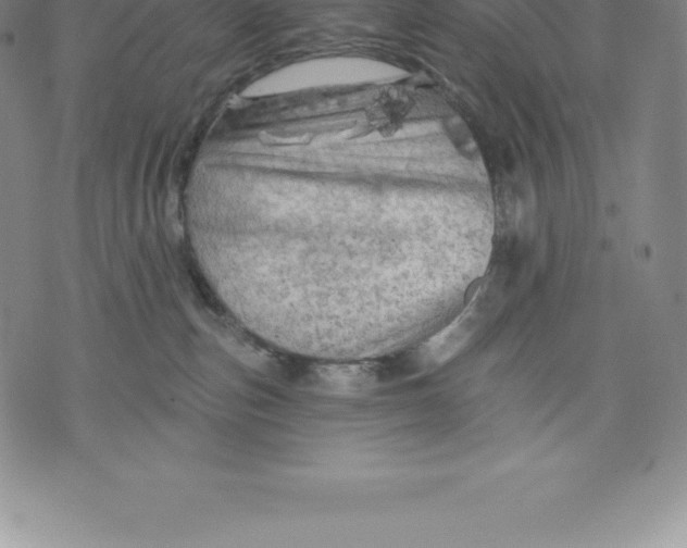 X0000076300187200610161603