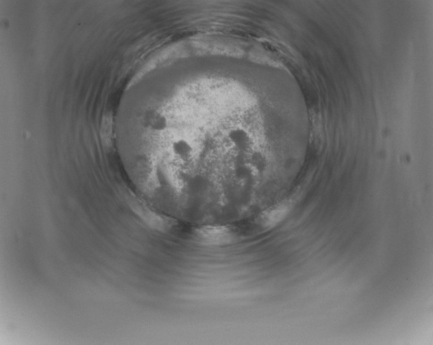 X0000076300189200610161603