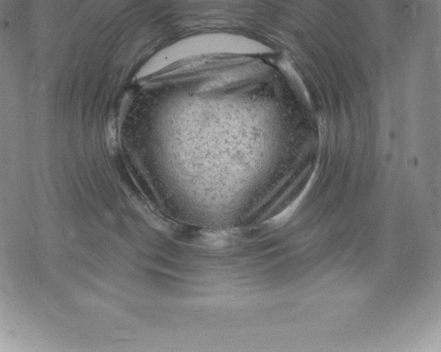 X0000076300190200610161603