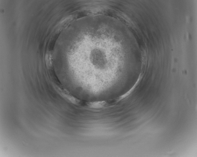 X0000076300191200610161603