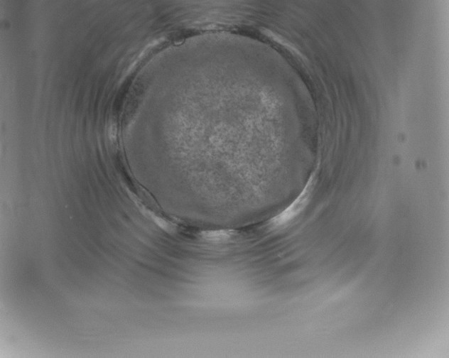 X0000076300192200610161603