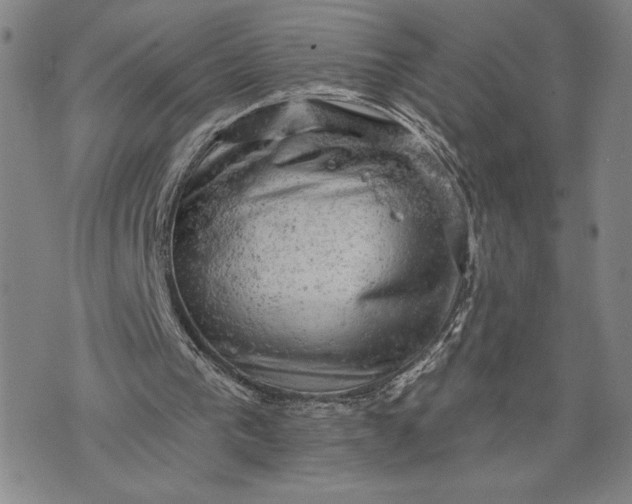 X0000076300193200610161602