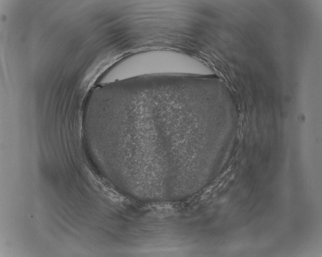 X0000076300194200610161602