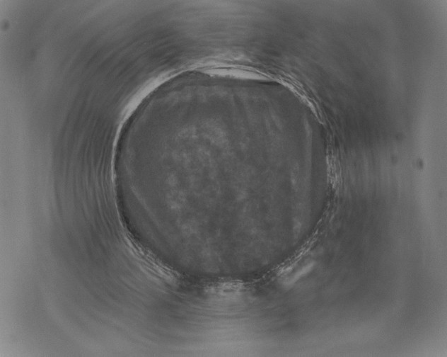 X0000076300196200610161602