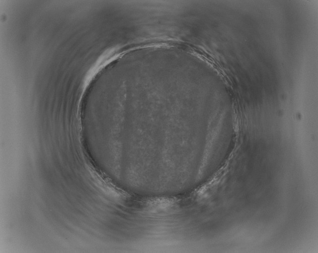 X0000076300198200610161602