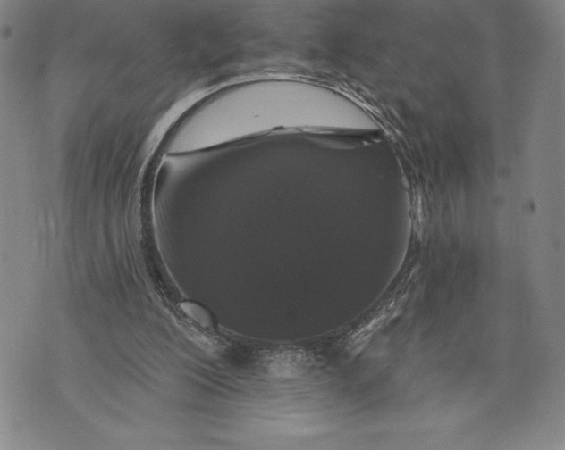 X0000076300200200610161602