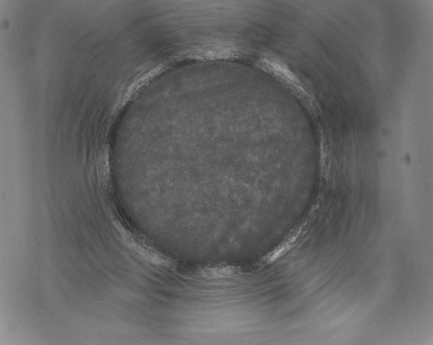 X0000076300202200610161602