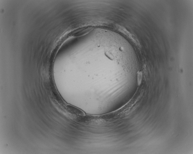 X0000076300203200610161602