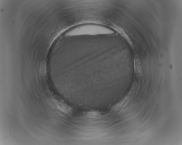 X0000076300204200610161602