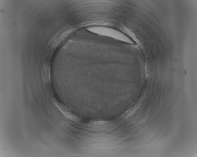 X0000076300205200610161602