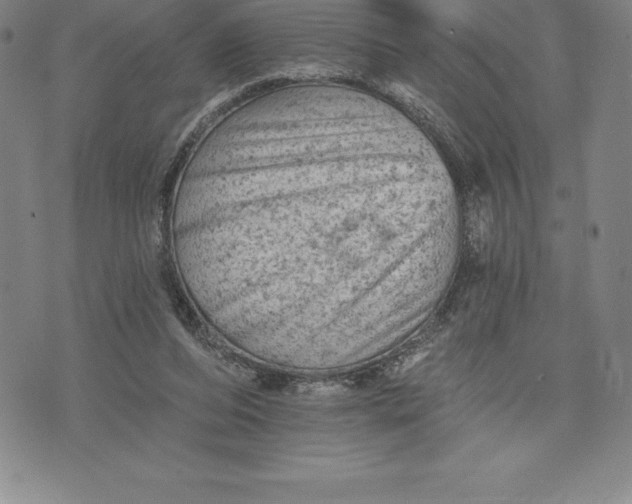 X0000076300208200610161602