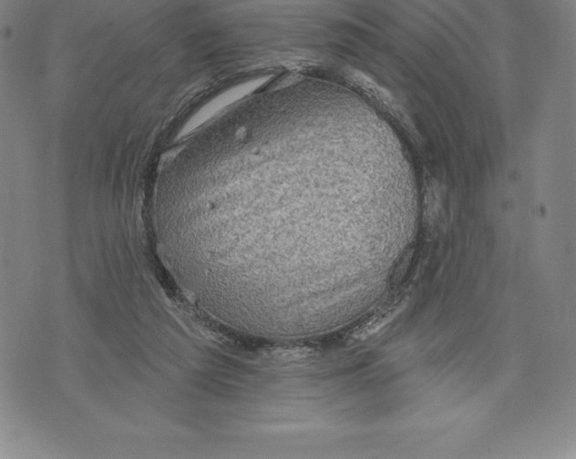 X0000076300209200610161602