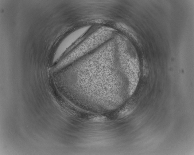 X0000076300210200610161602