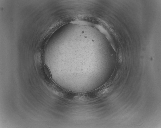 X0000076300211200610161602