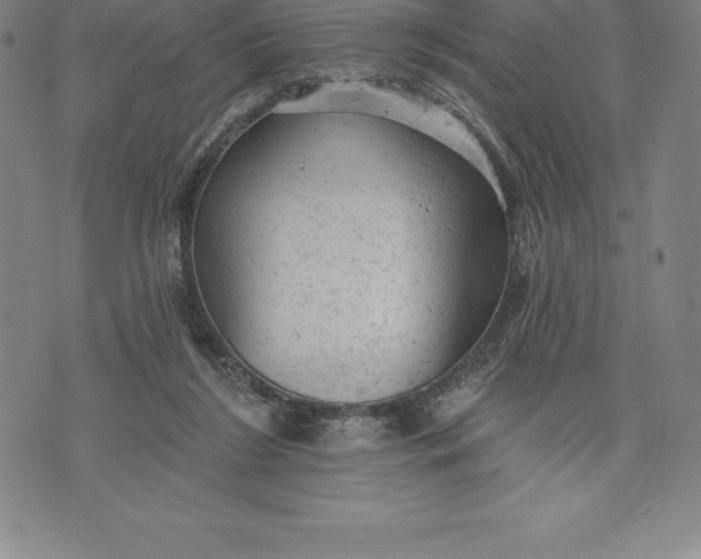 X0000076300212200610161602