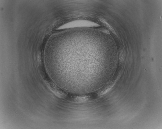 X0000076300213200610161602