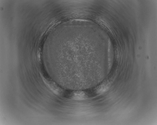 X0000076300214200610161602