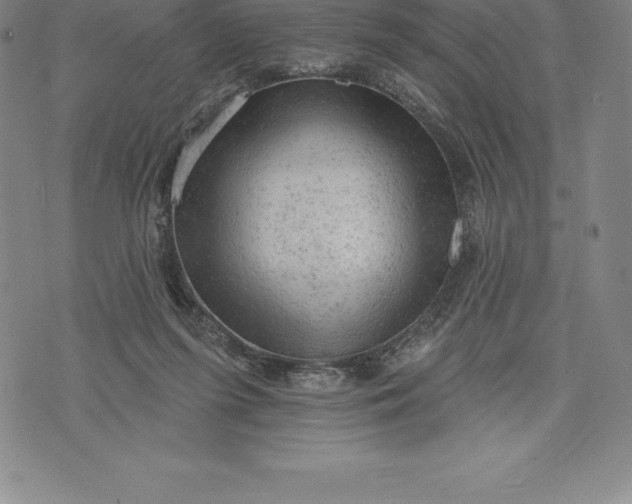 X0000076300215200610161602