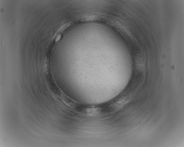 X0000076300216200610161602